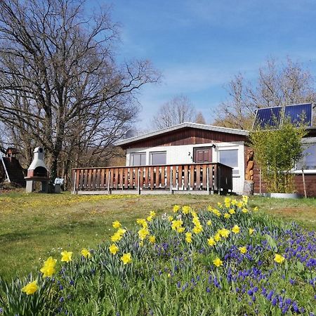 Ferienhaus Chiara, Suedharz, Harztor Ilfeld ภายนอก รูปภาพ