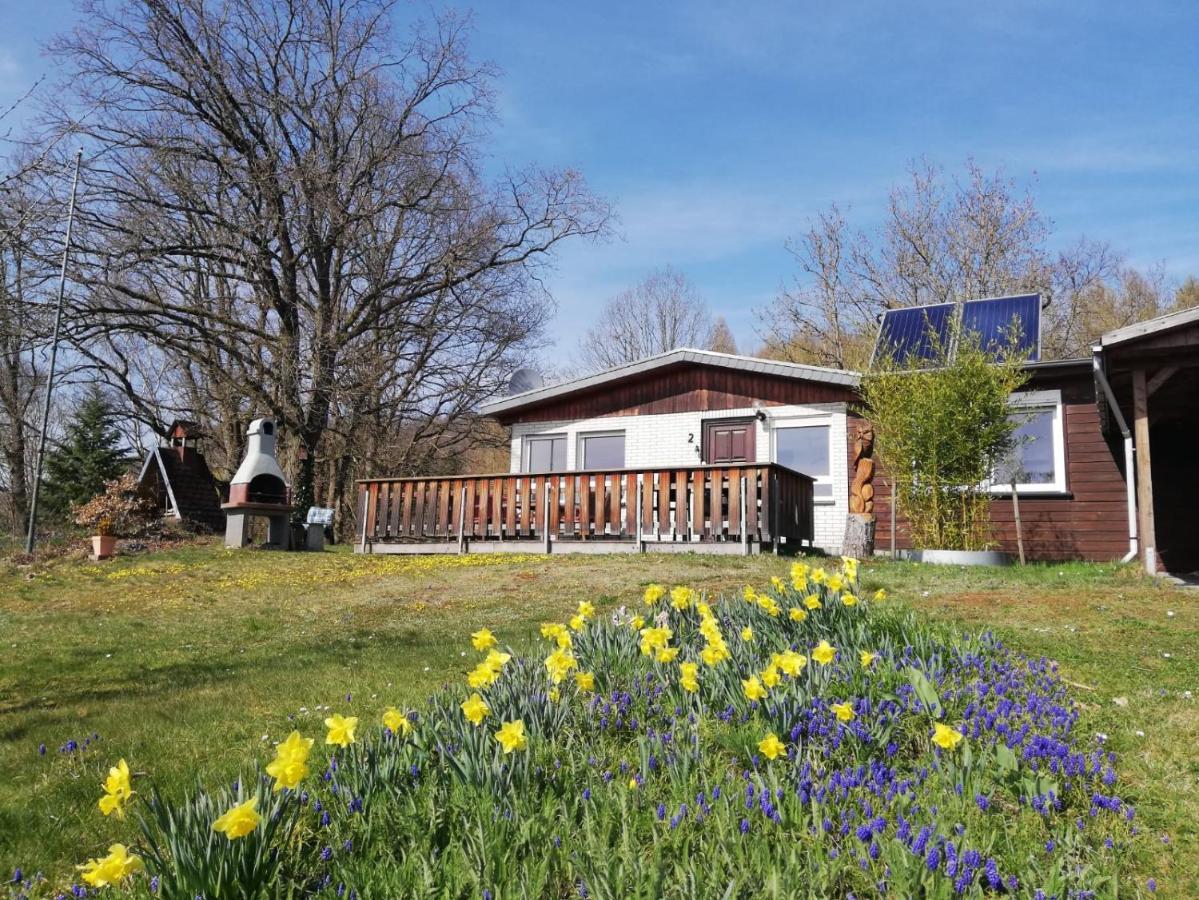 Ferienhaus Chiara, Suedharz, Harztor Ilfeld ภายนอก รูปภาพ